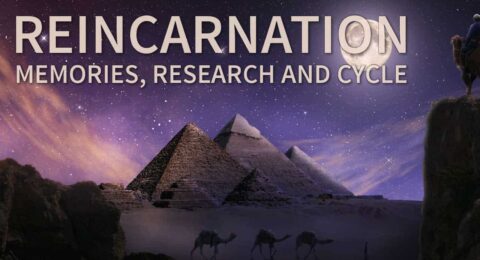 Reincarnation Memories