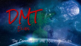 DMT Elves – The Machine Elves