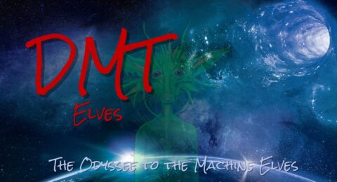 dmt elves machine elves