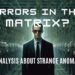 errors in the matrix - simulation theory