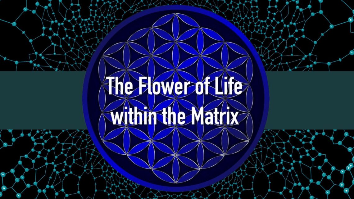 flower of life tree of life