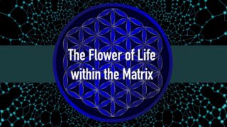 The Matrix: The Flower of Life and Reincarnation