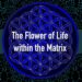 flower of life tree of life