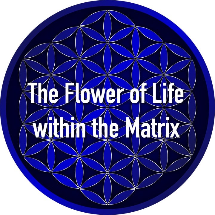 flower-of-life-tree-of-life