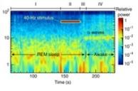 gamma frequenzy lucid dreaming