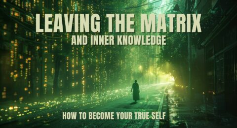 leaving the matrix escape matrix true self