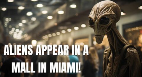 miami aliens miami-mall aliens