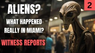 Miami Mall Aliens Witness Reports so far