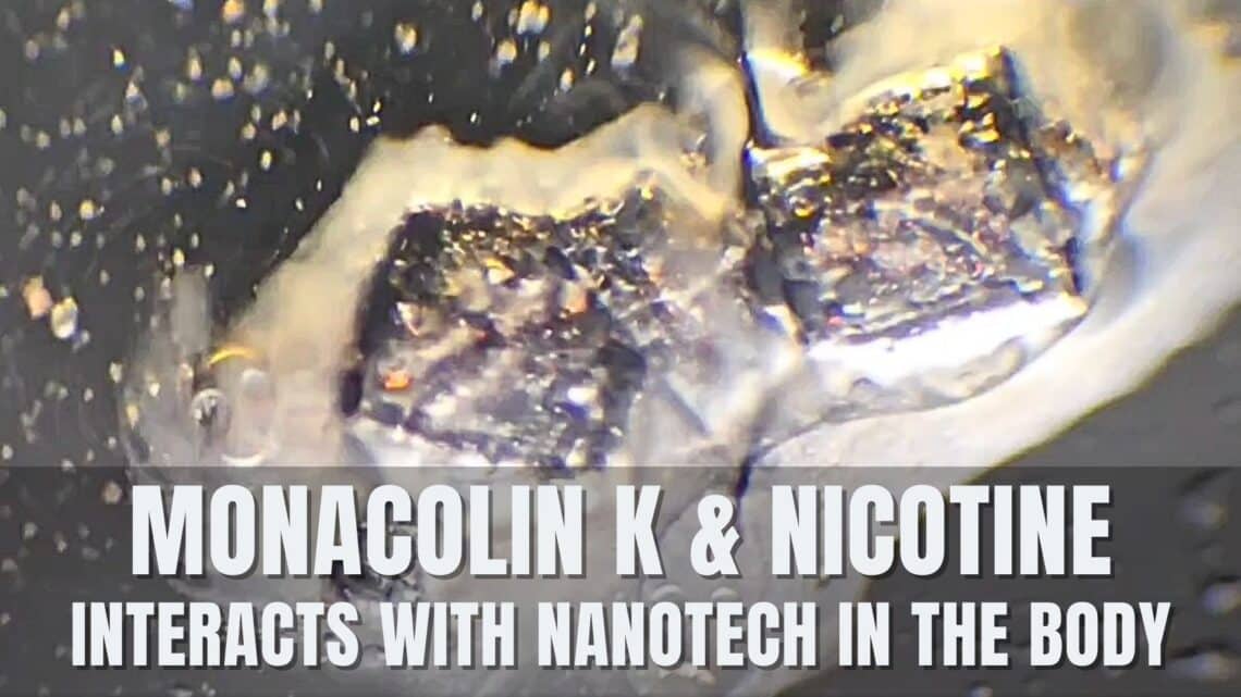 monacolin-k-nanotech-la-quinta-columna