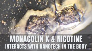Monacolin K destroys Nanotechnology in the Body? [La Quinta Columna]