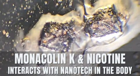 monacolin-k-nanotech-la-quinta-columna