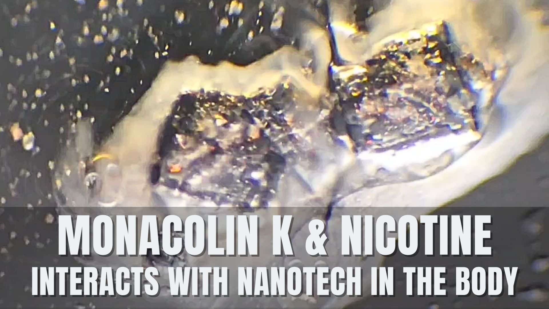 monacolin-k-nanotech-la-quinta-columna