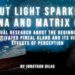 Prana, sparkles of light, matrix grid, mouches volantes and floaters