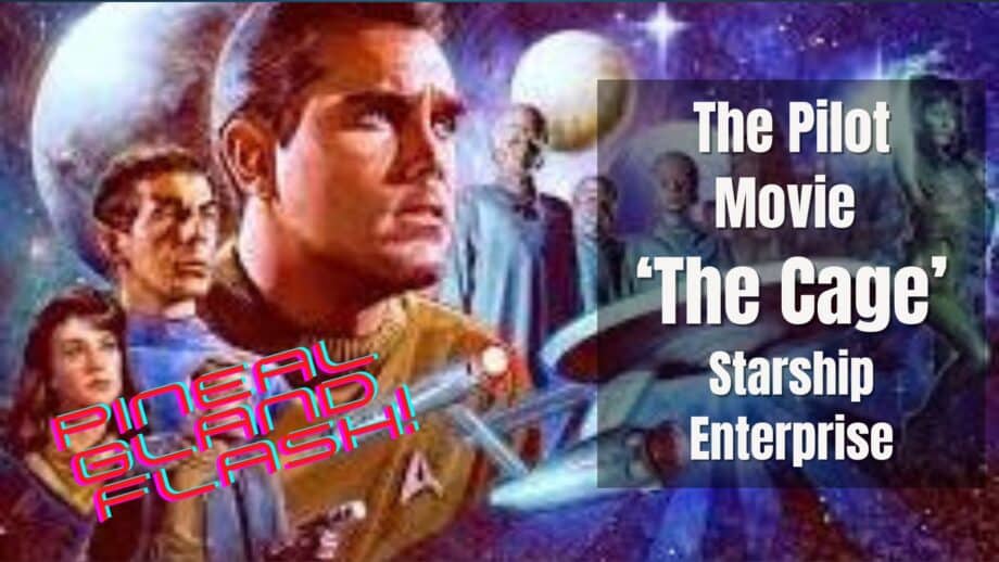 starship enterprise - the cage