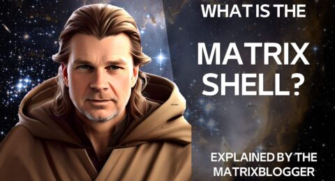what is the matrix shell tissue capsule