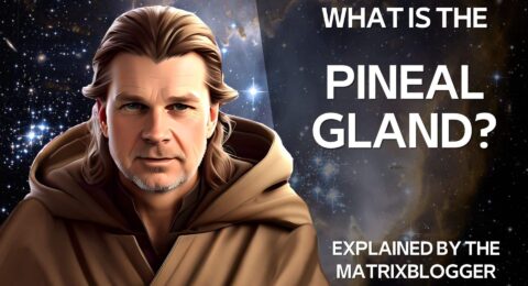 For Beginners: What is the Third Eye and what is the Pineal Gland?